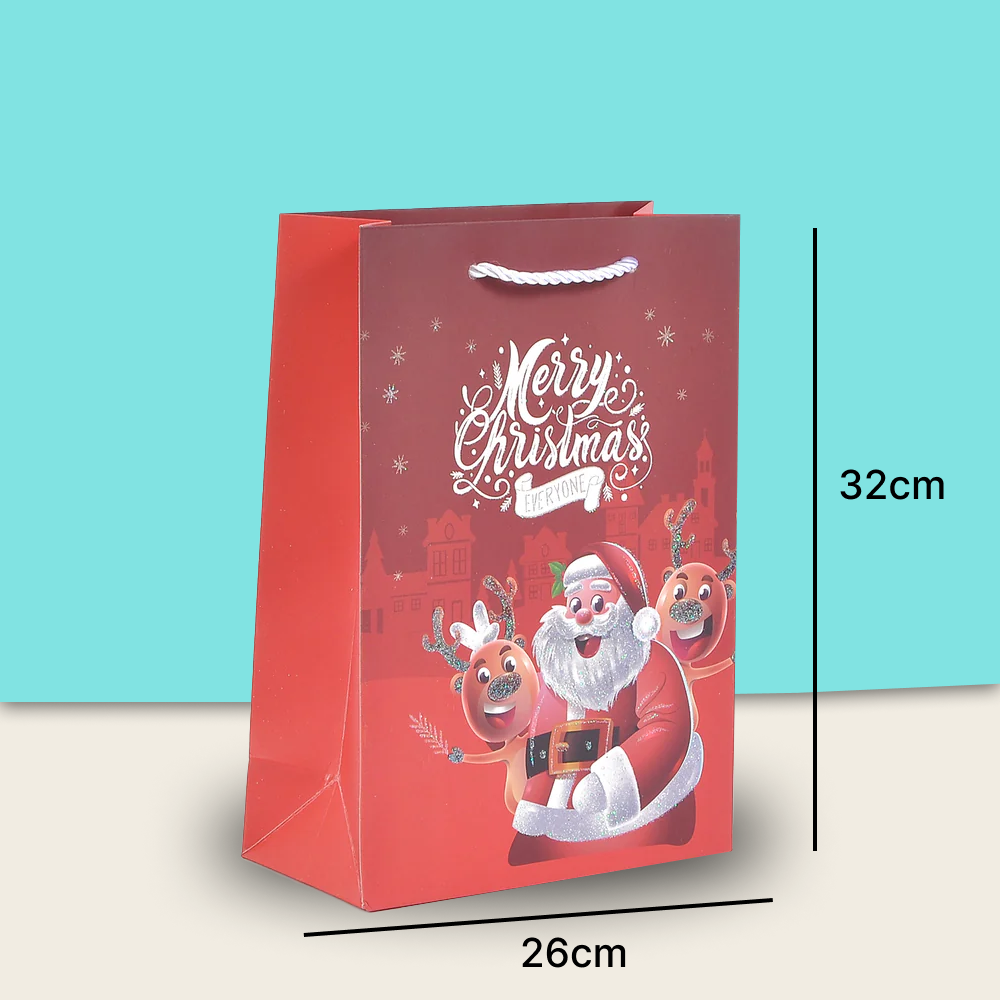 Merry Christmas Stylish Paper Bag For Gifting - TinyBo